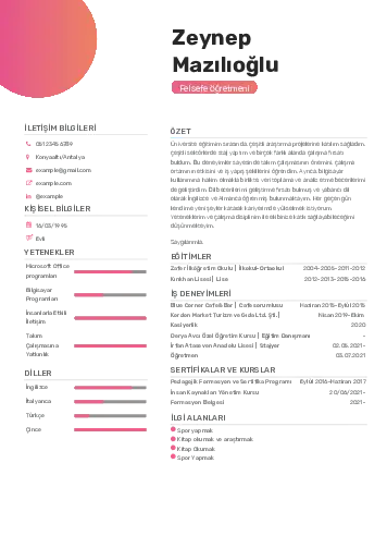 Felsefe Öğretmeni CV Örnekleri cv indir